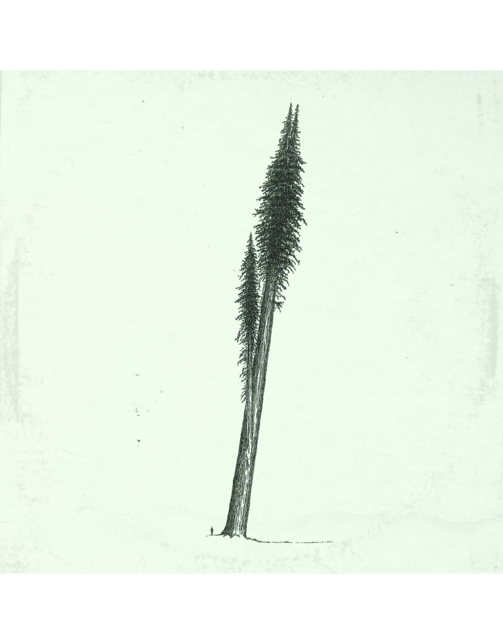Riedl, Eric & Hanging Moss: Some Songs (1974-1980) b/w Quiet Songs Vol. 1 (2013) LP