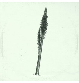 Riedl, Eric & Hanging Moss: Some Songs (1974-1980) b/w Quiet Songs Vol. 1 (2013) LP