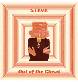 Dark Entries Steve: Out Of The Closet LP