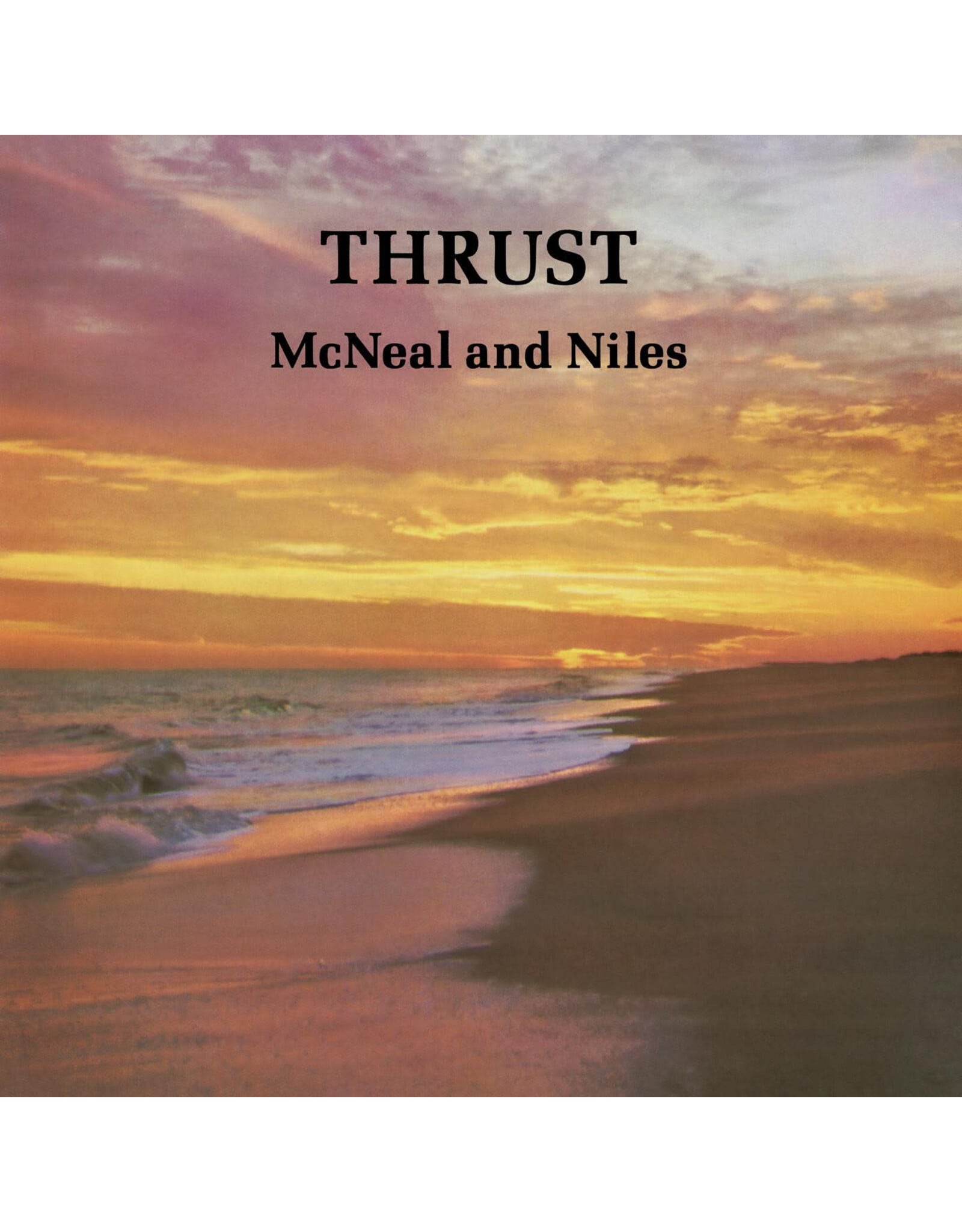 We Are Busy Bodies Niles, Wilbur & McNeal: Thrust LP