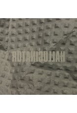 Numbers Hallucinator: Landlocked LP