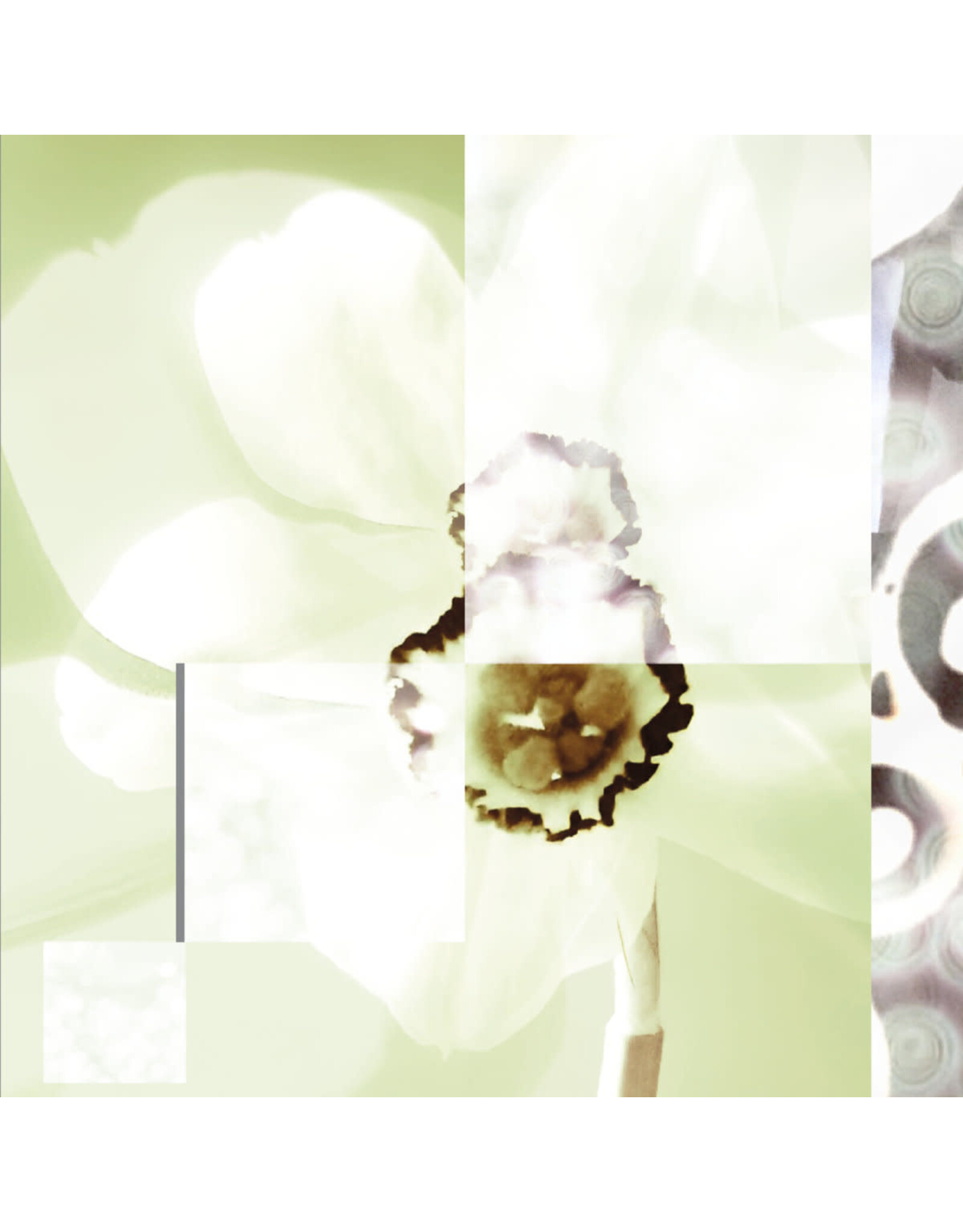 Stroom Pablo's Eye: Everything You Give Away LP