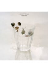 Smalltown Supersound Villain, Carmen: Memoria (clear vinyl) LP