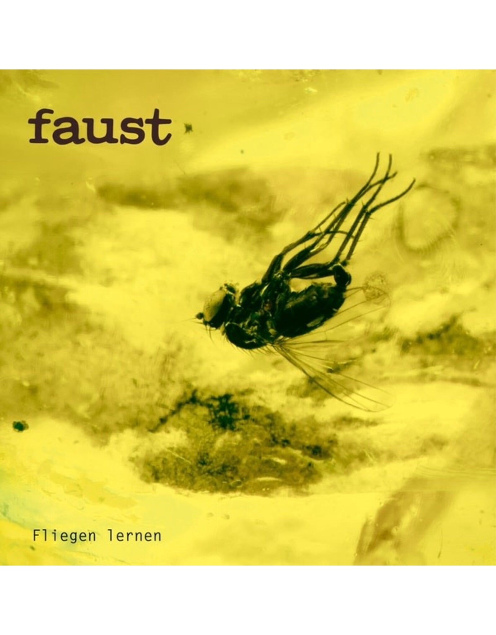 Bureau B Faust: Fliegen lernen (Indie Exclusive) LP