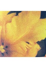 NTHNG: Last Light of the Sun LP