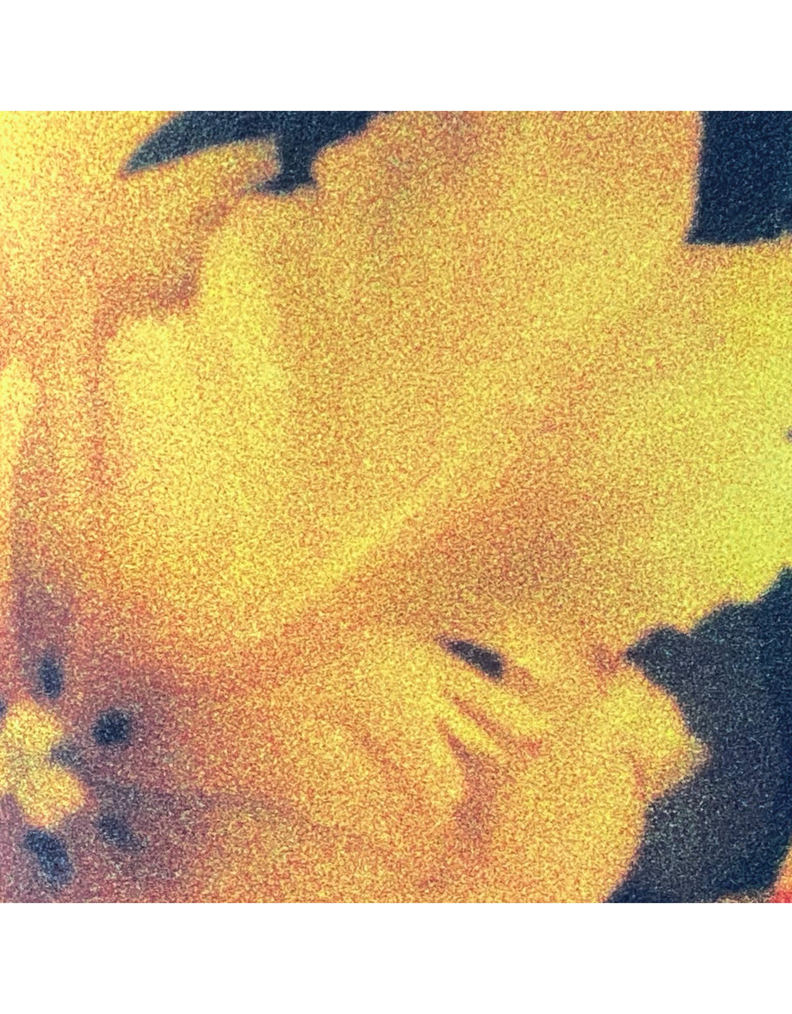 NTHNG: Last Light of the Sun LP