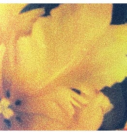 NTHNG: Last Light of the Sun LP