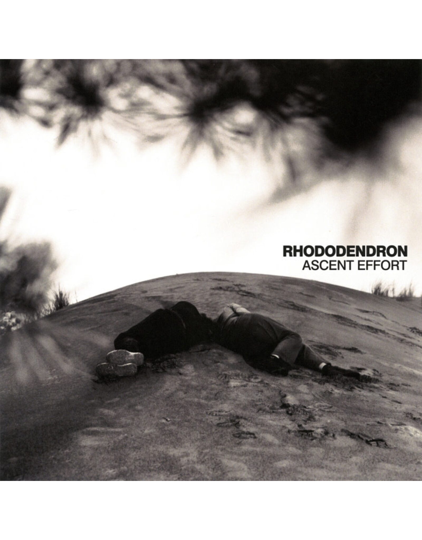 Flenser Rhododendron: Ascent Effort (color) LP