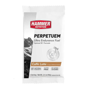 Hammer Nutrition Perpetuem Single Serving