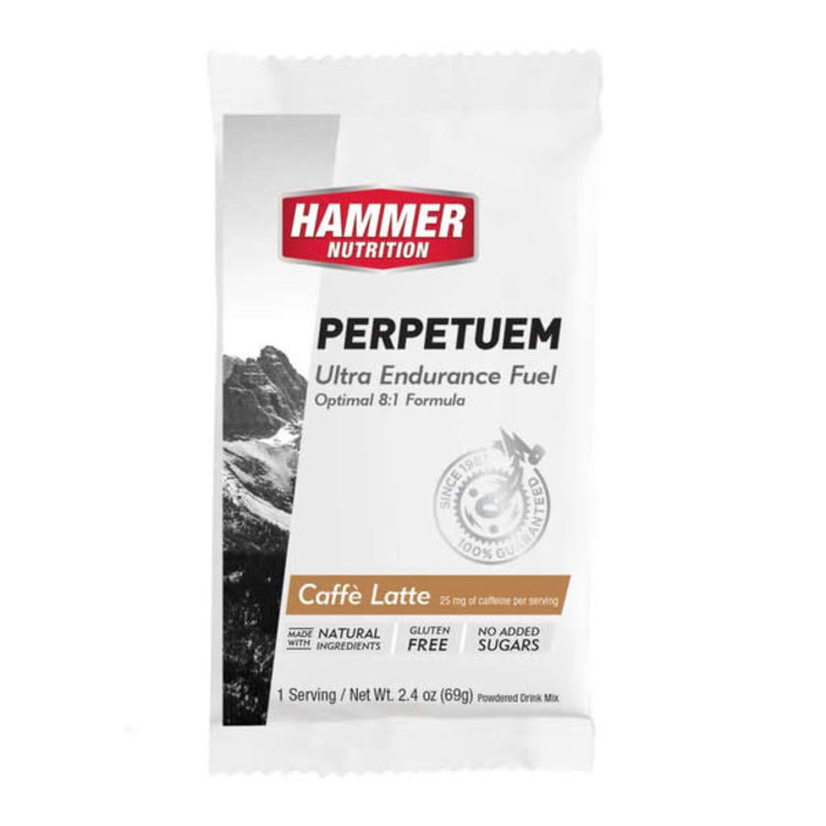 Hammer Nutrition Perpetuem Single Serving