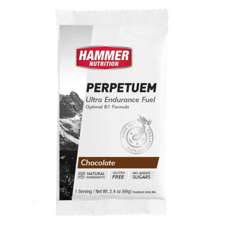 Hammer Nutrition Perpetuem Single Serving
