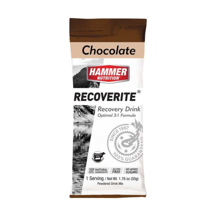 Hammer Nutrition Recoverite Single Serving