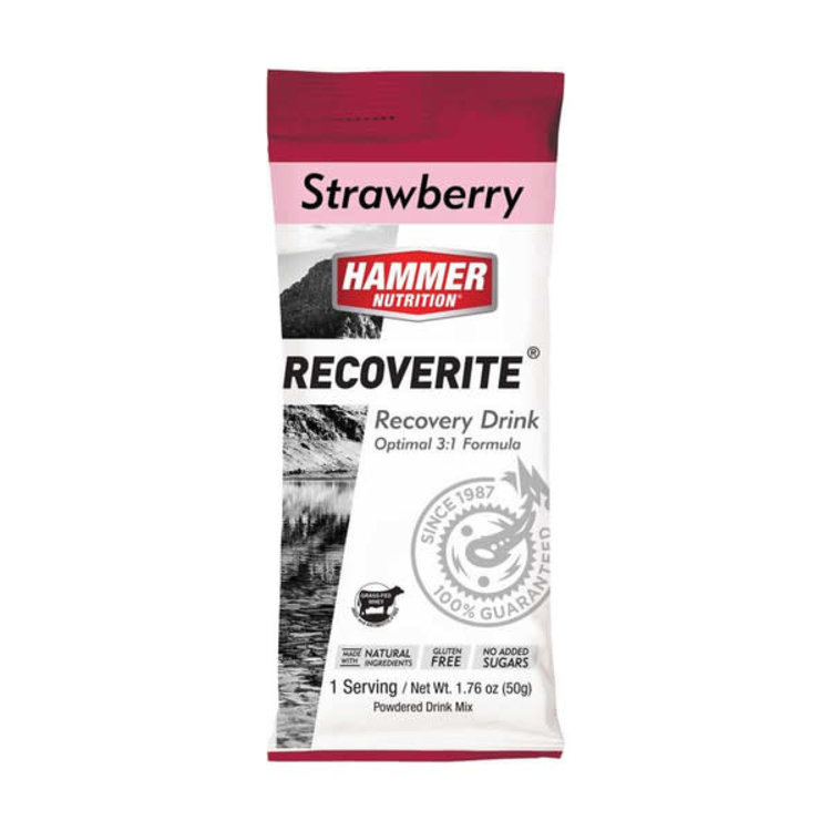 Hammer Nutrition Recoverite Single Serving