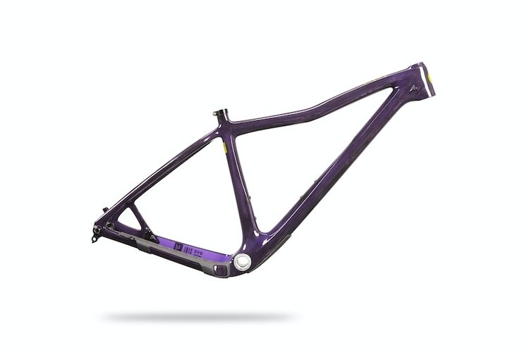 2024 Ibis DV9 (Purple or Muddy Water) Stock or Custom builds