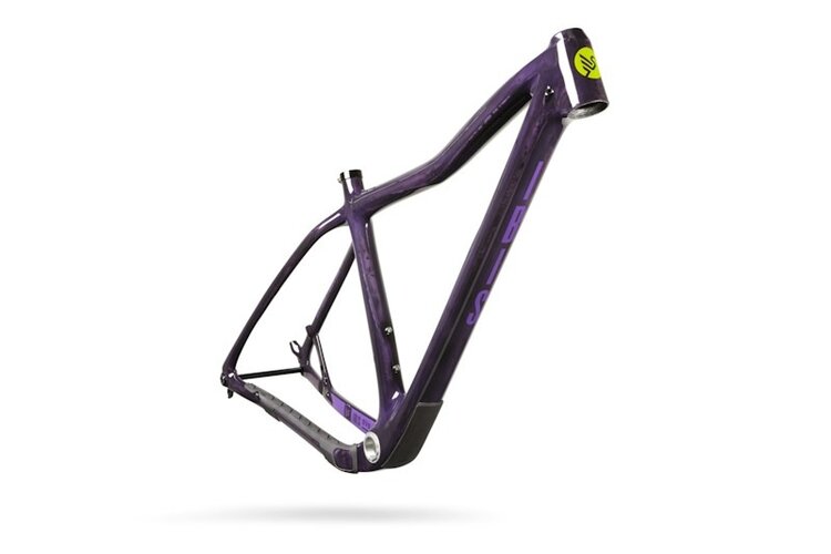 2024 Ibis DV9 (Purple or Muddy Water) Stock or Custom builds