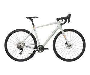 Salsa warbird carbon rival sale