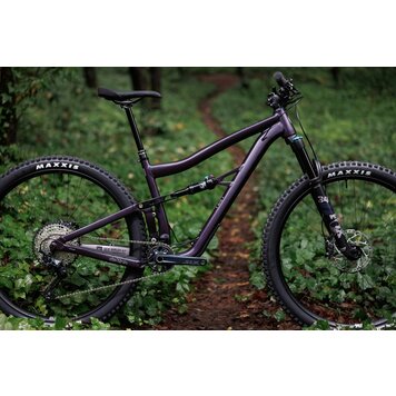 IBIS Ripley AF GX Build Medium (last one)