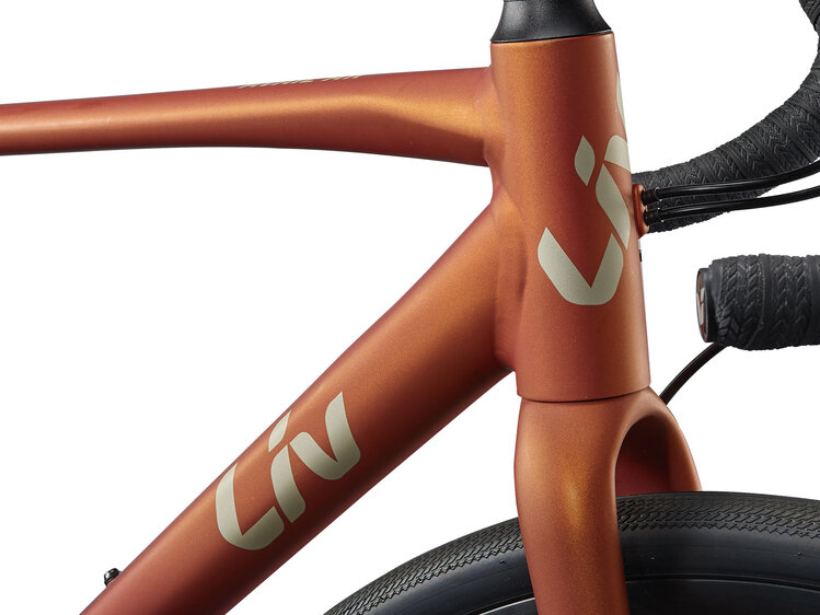 Liv 25 Avail AR 2 S Solar Flare