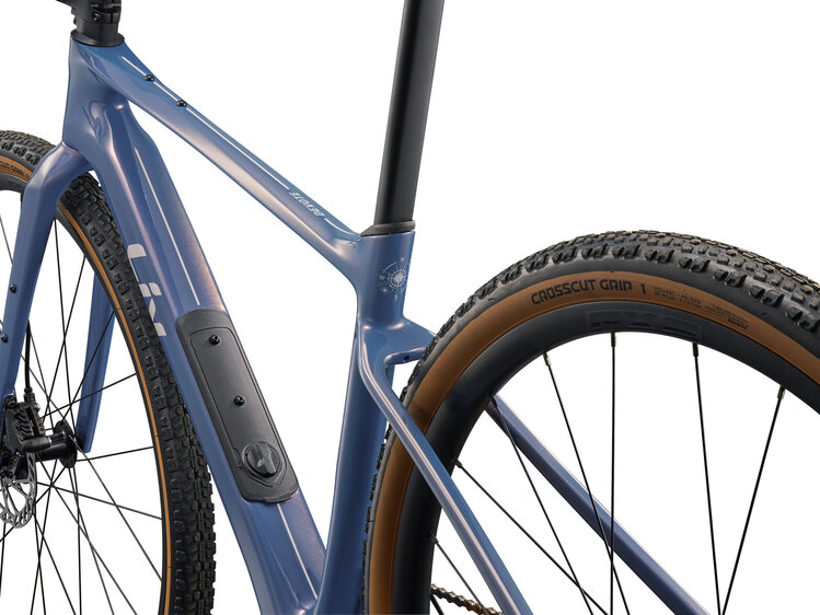 Liv 2026 Devote Advanced 2