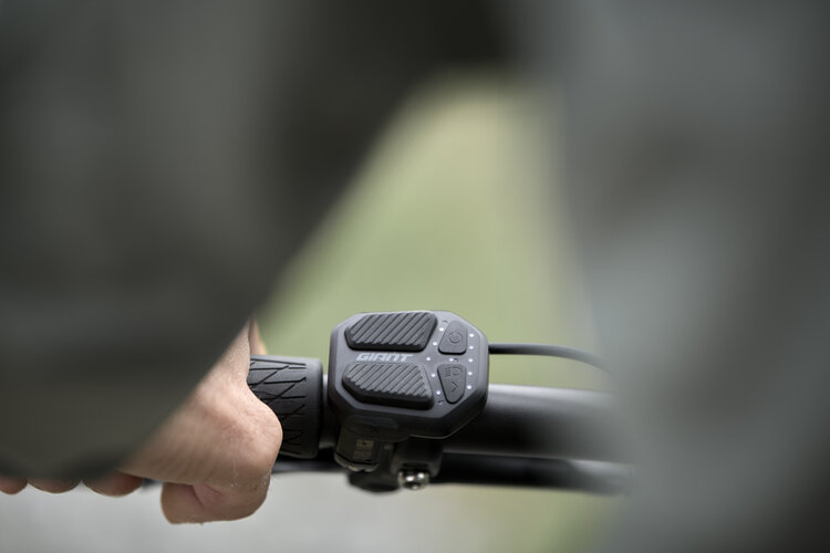 .Giant Roam E+  Small