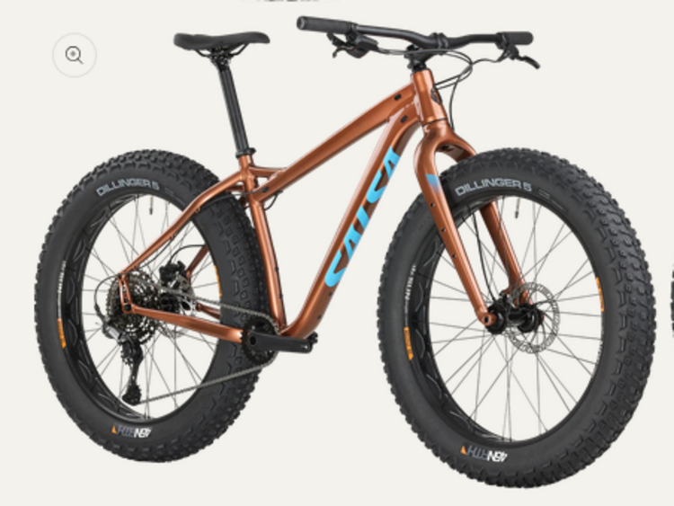 Salsa Salsa Heyday Cues Fat Tire Bike, Alloy