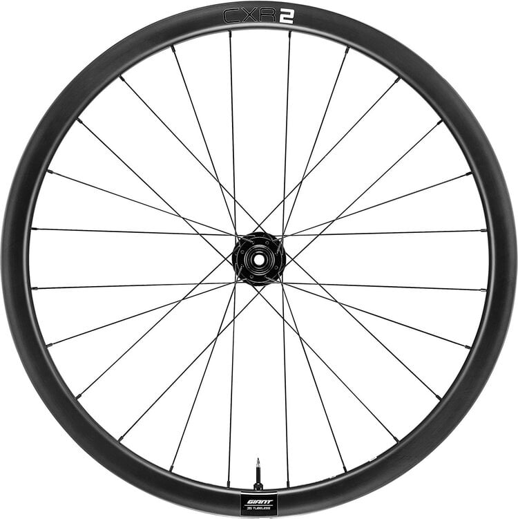.Giant Giant CRX 2 - Front 100x12 Thru Axle