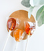 Declaration & Co. Honey Dipper Lollipop