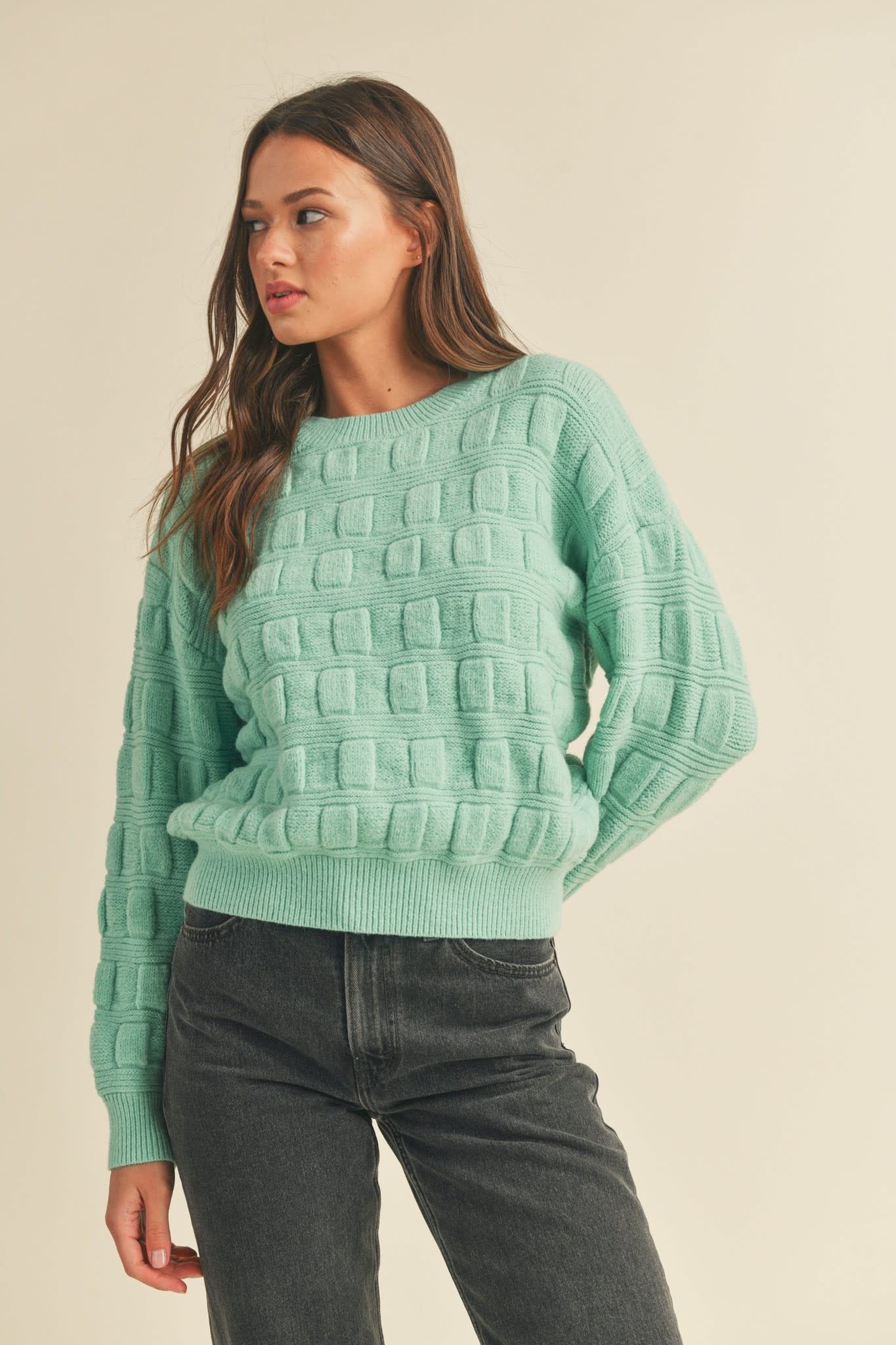 Cuter on Camera Crop Sweater - Mint