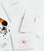 Declaration & Co. St. Augus-Tea Hibiscus Mini