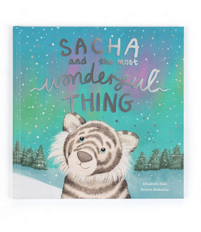 Declaration & Co. Sacha and the Most Wonderful Thing Book