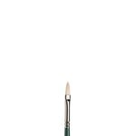 WINSOR NEWTON WINSOR & NEWTON BRUSH WINTON FILBERT 10