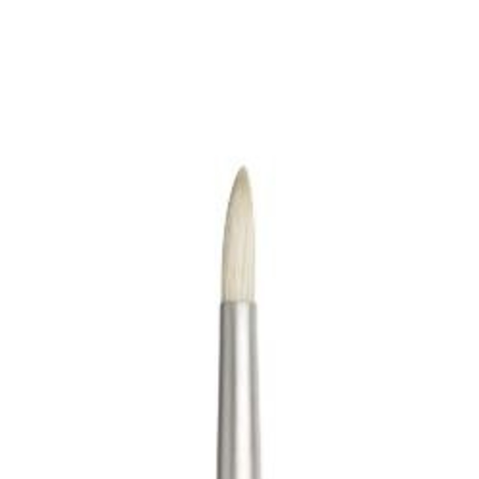 WINSOR NEWTON WINSOR & NEWTON BRUSH ARTISTS' OIL ROUND 6