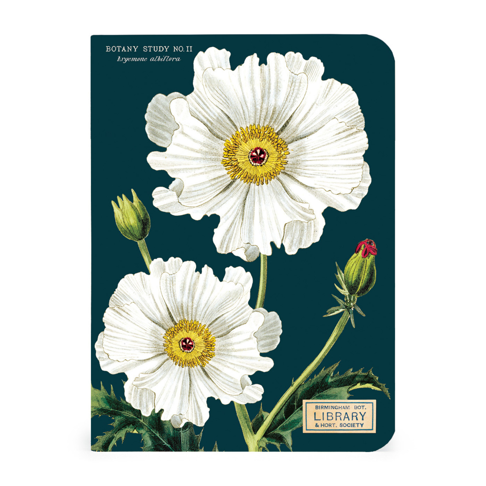 CAVALLINI & CO MINI NOTEBOOK 3/PK BOTANY