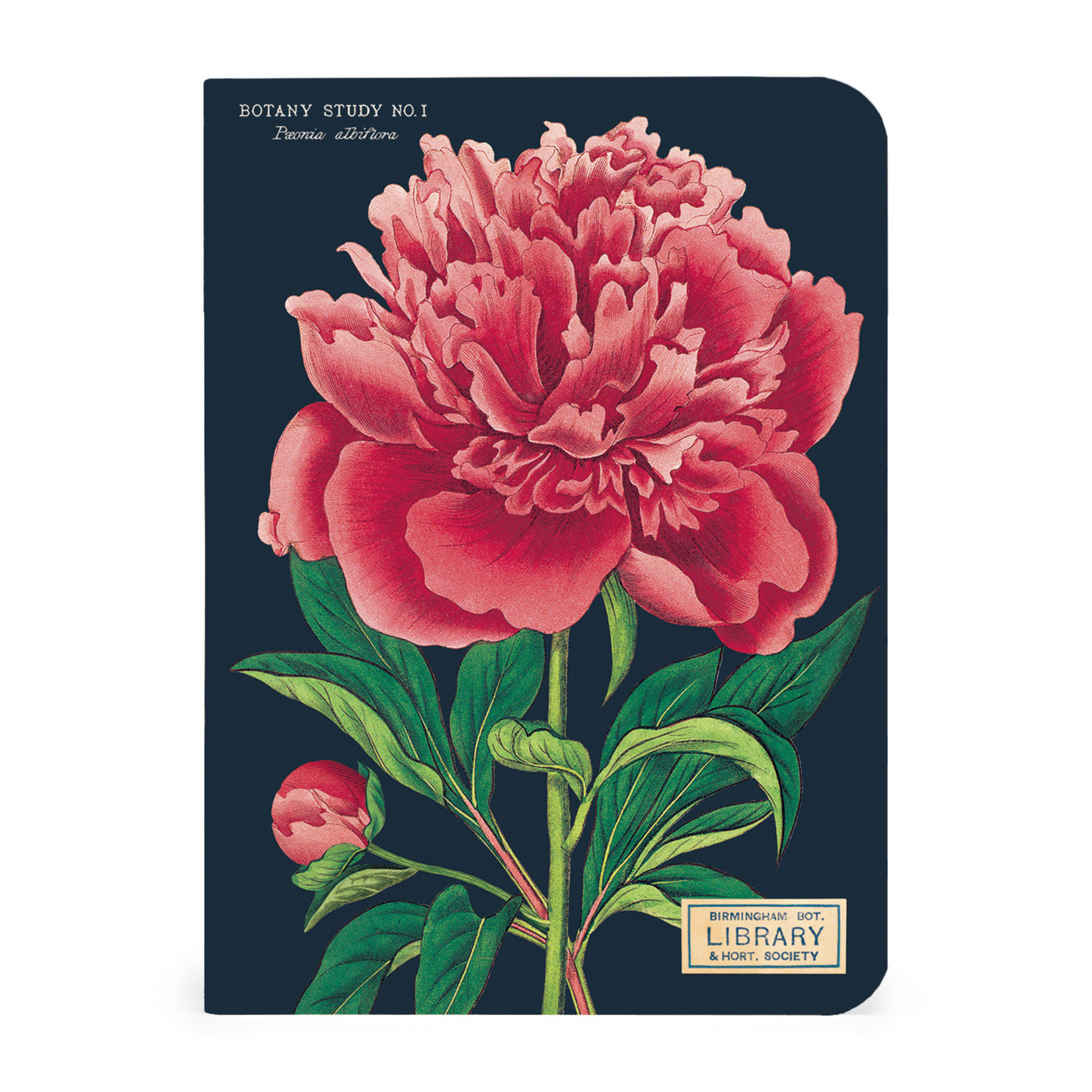 CAVALLINI & CO MINI NOTEBOOK 3/PK BOTANY