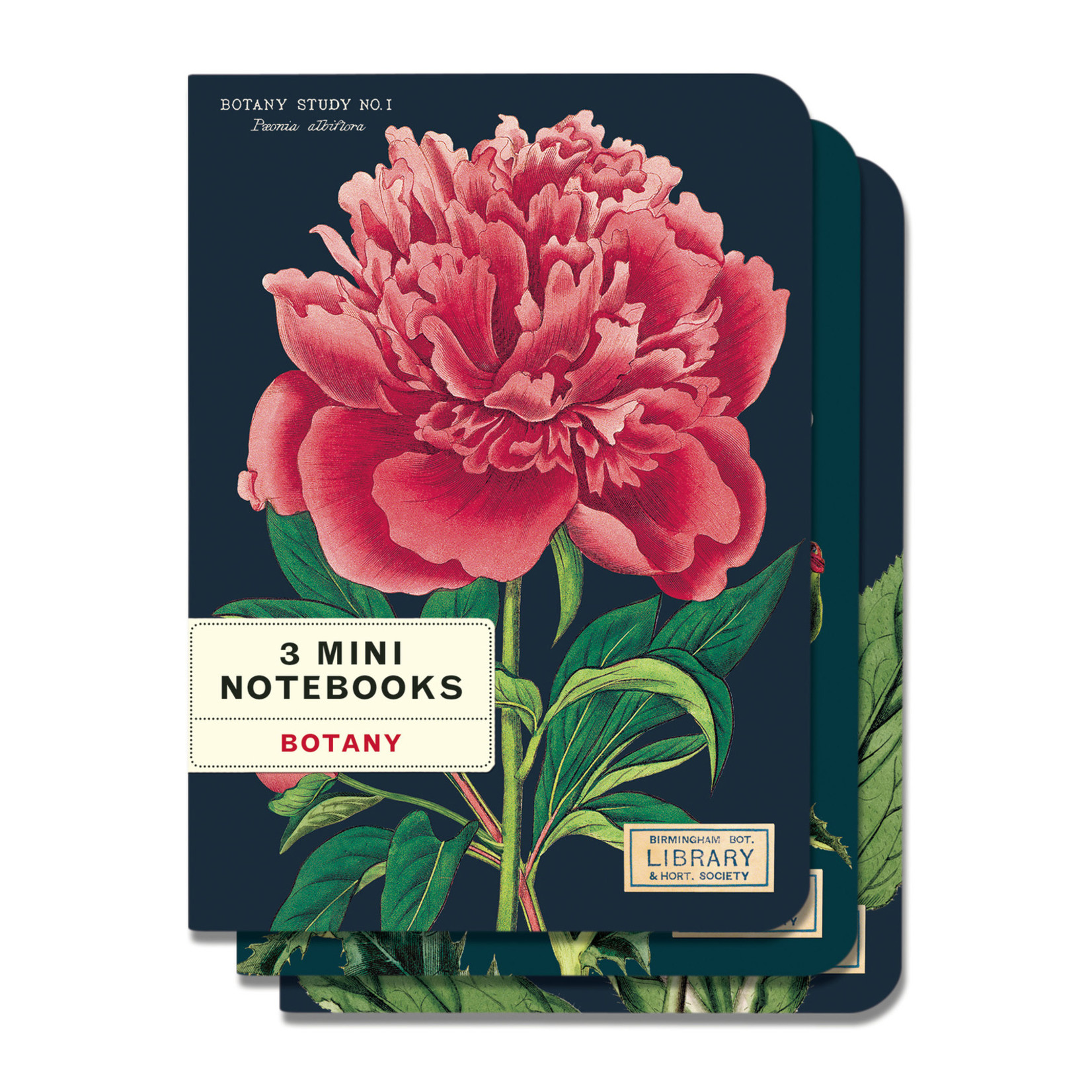 CAVALLINI & CO MINI NOTEBOOK 3/PK BOTANY