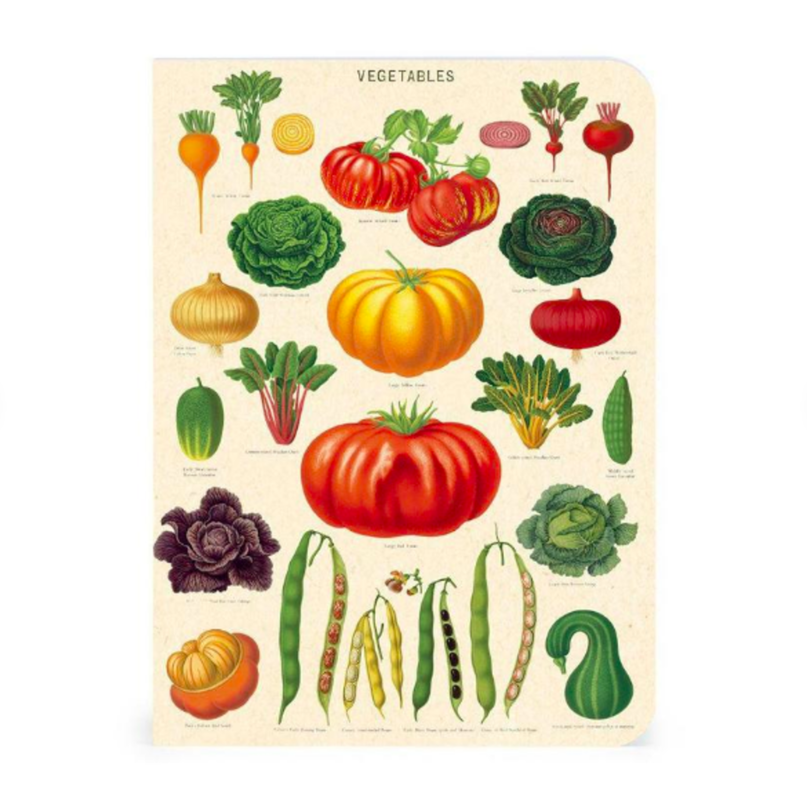 CAVALLINI & CO MINI NOTEBOOK 3/PK LE JARDIN