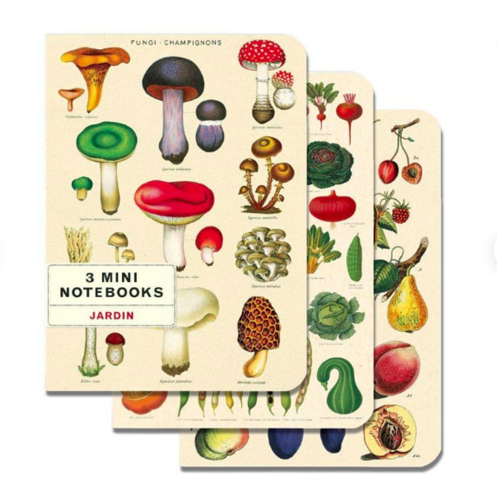 CAVALLINI & CO MINI NOTEBOOK 3/PK LE JARDIN