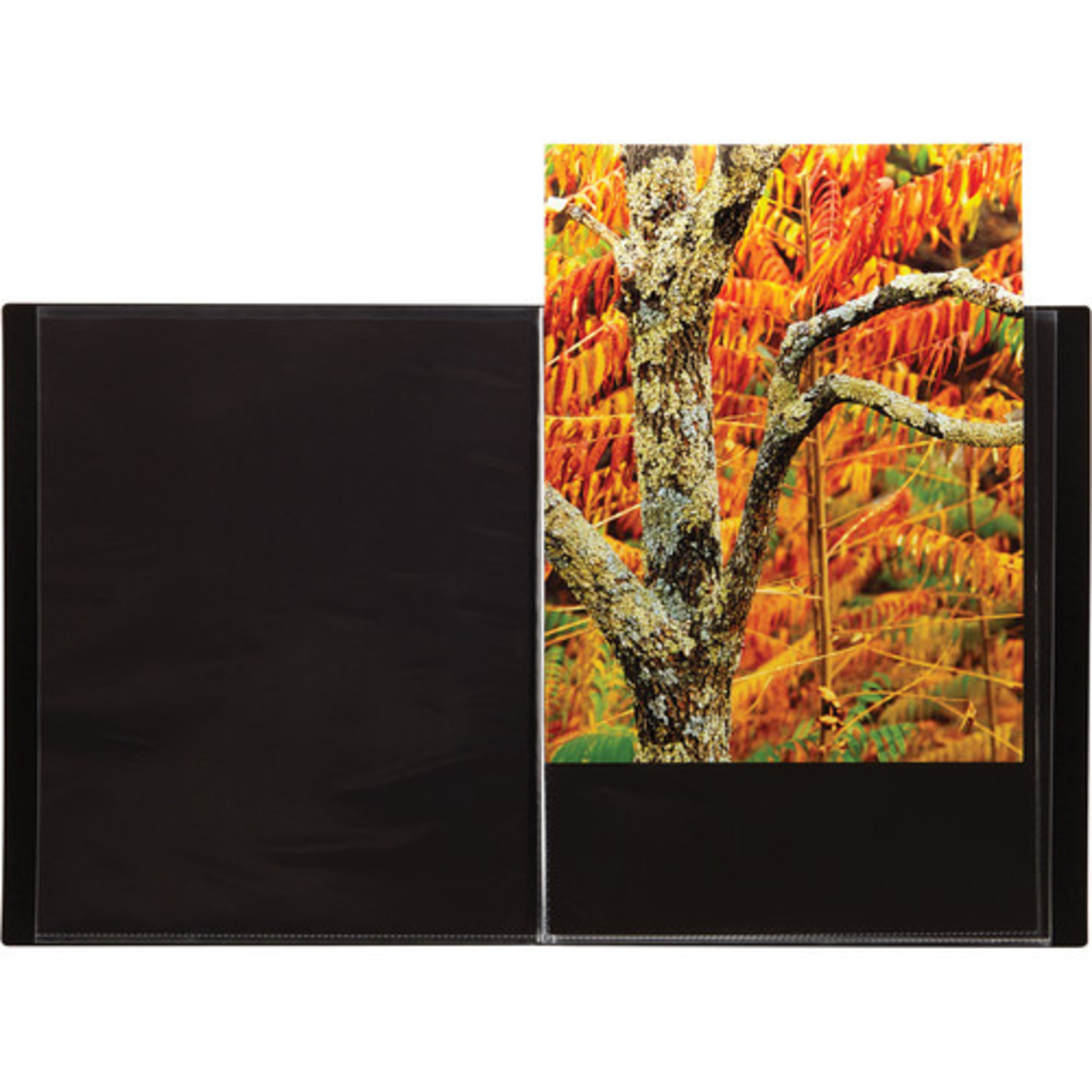 ITOYA PROFOLIO EXPRESSIONS 8.5X11 BLACK CHEVRON DISC