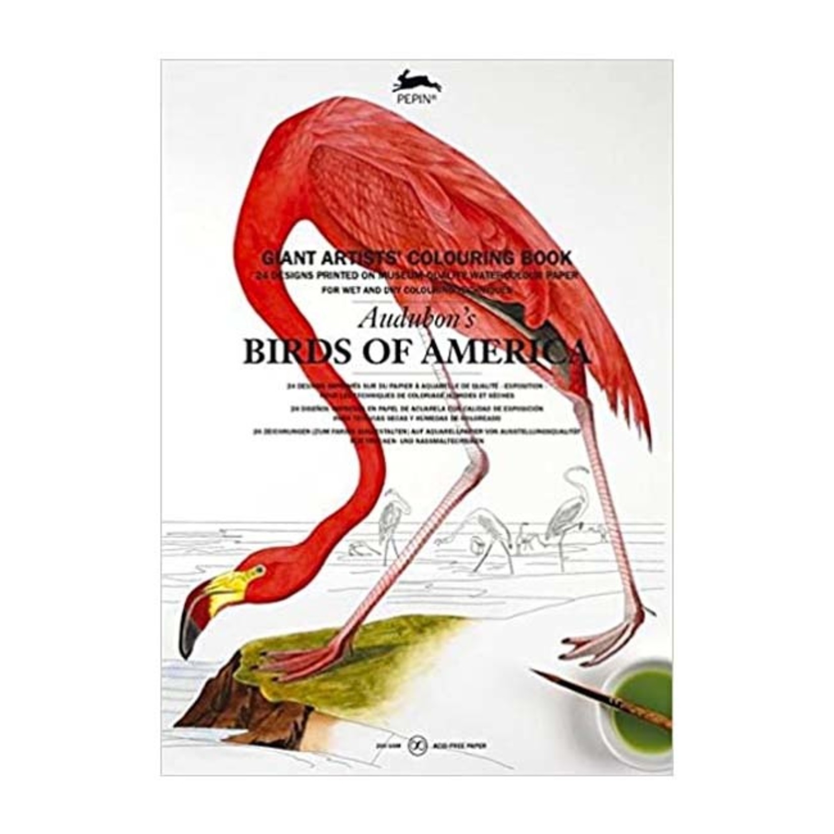 PEPIN GIANT ARTISTS' COLOURING BOOK AUDUBON'S BIRDS OF AMERICA