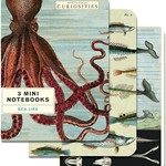 CAVALLINI & CO MINI NOTEBOOK 3/PK SEA LIFE