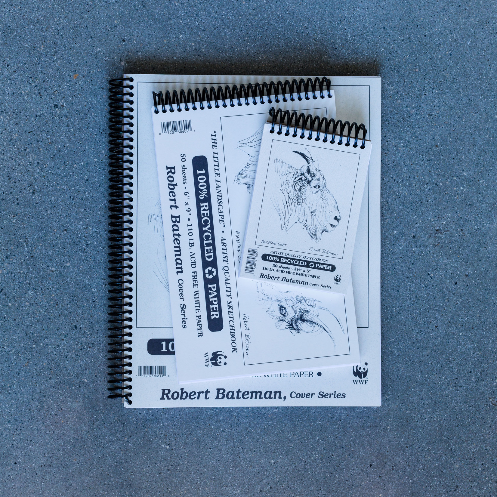 ROBERT BATEMAN SKETCH PAD 11X14 110LB  50/SHT
