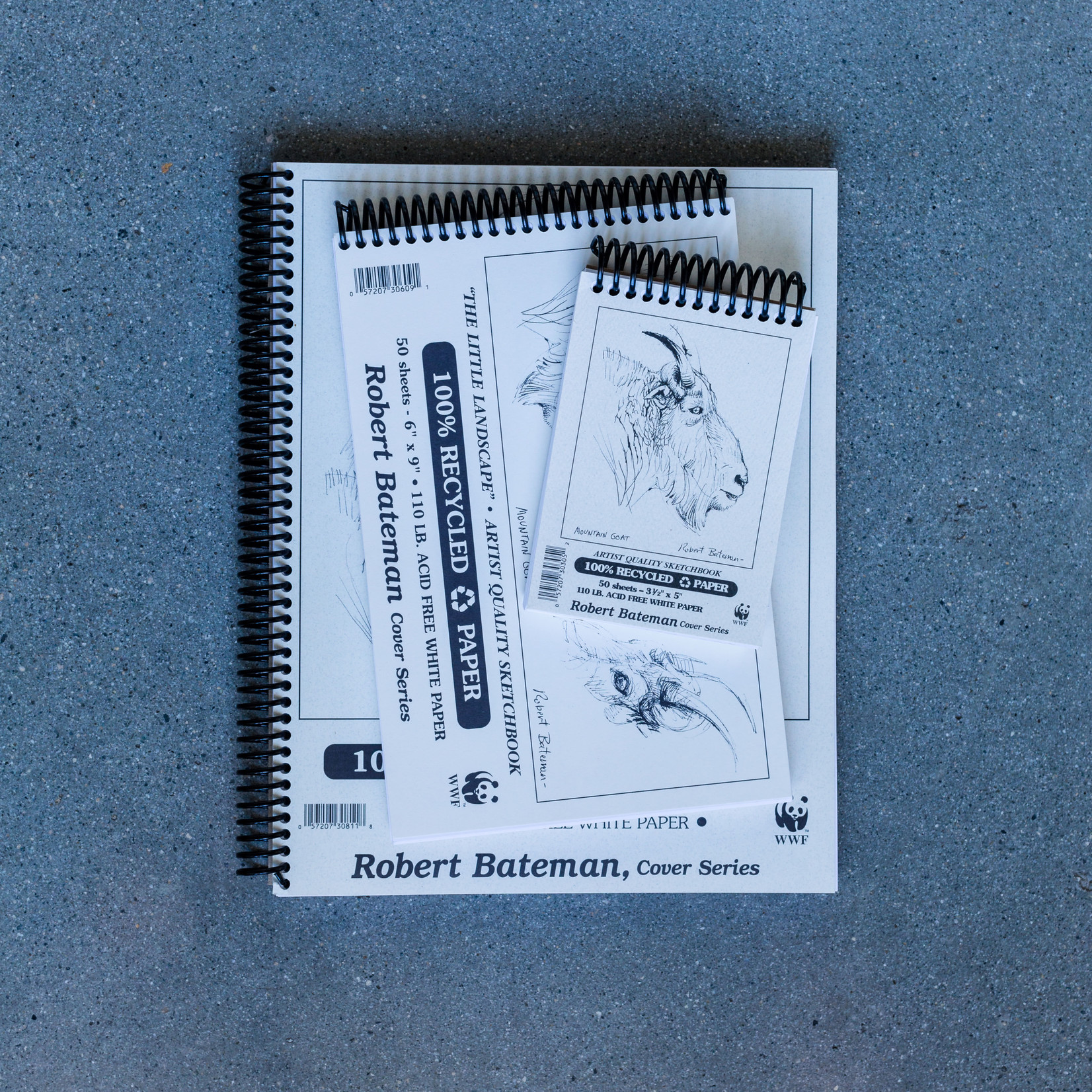 ROBERT BATEMAN SKETCH PAD 14X17 110LB  50SHT
