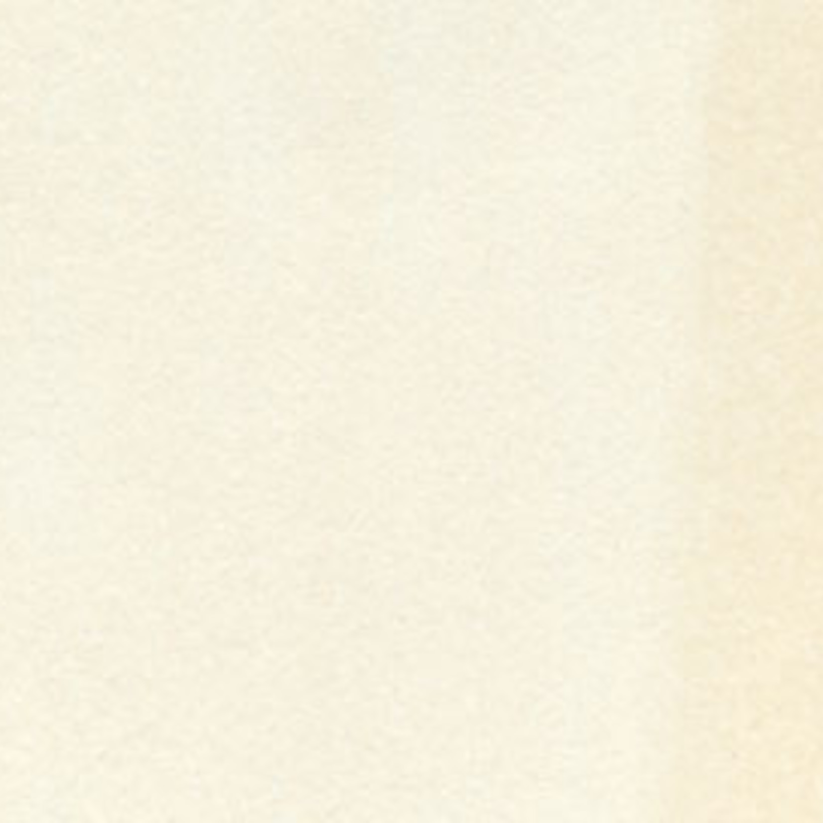 COPIC COPIC SKETCH E000 PALE FRUIT PINK