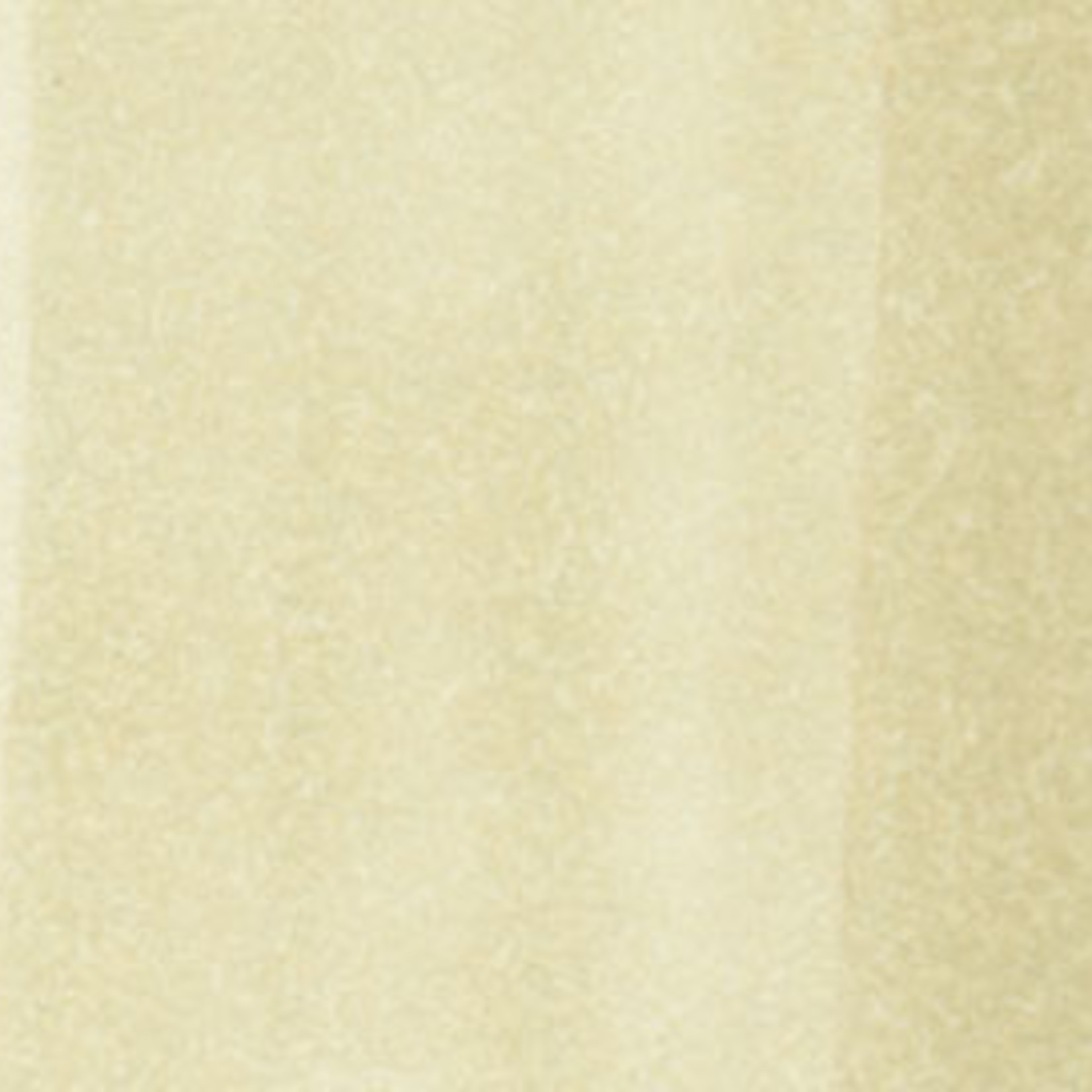 COPIC COPIC SKETCH E81 IVORY