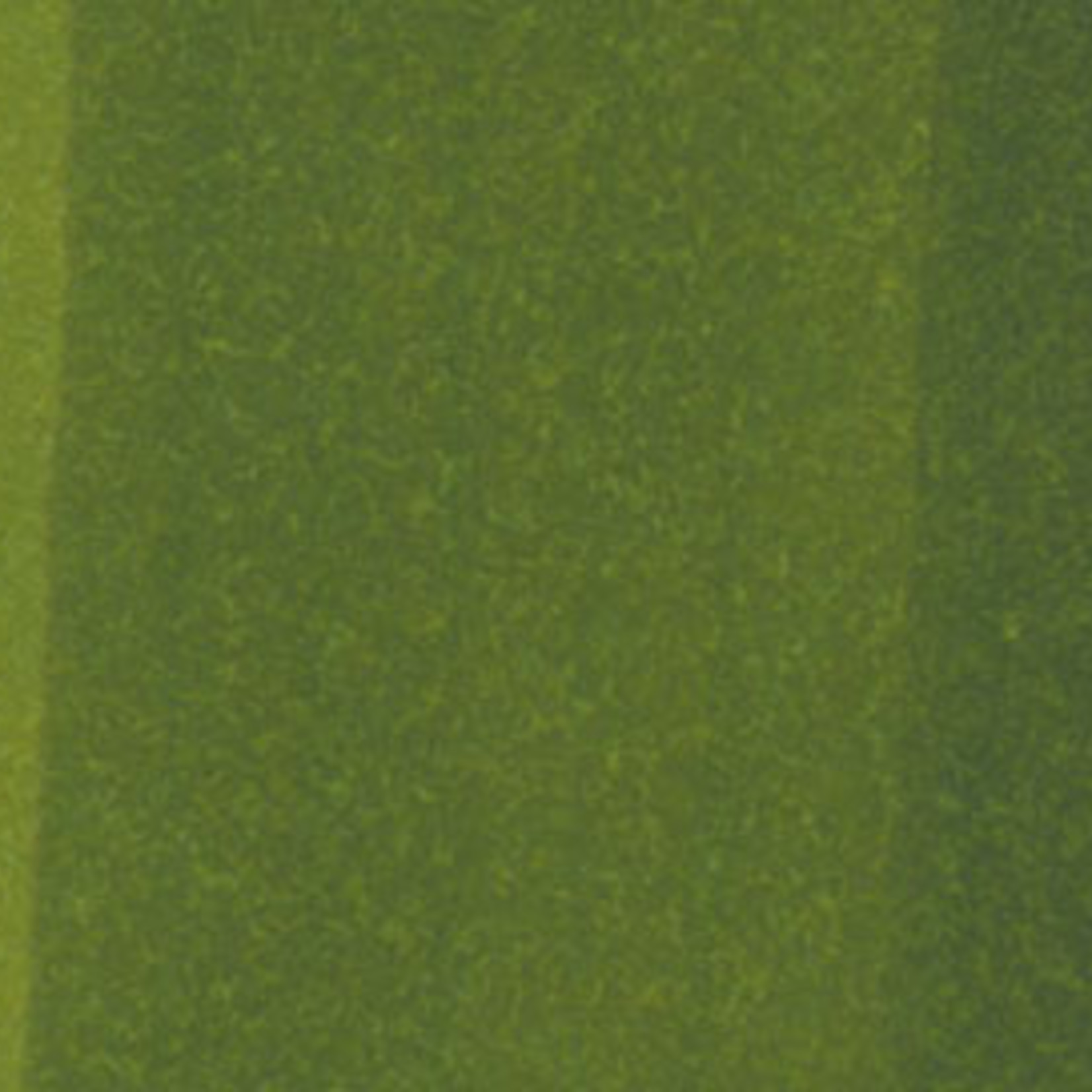 COPIC COPIC SKETCH G29 PINE TREE GREEN