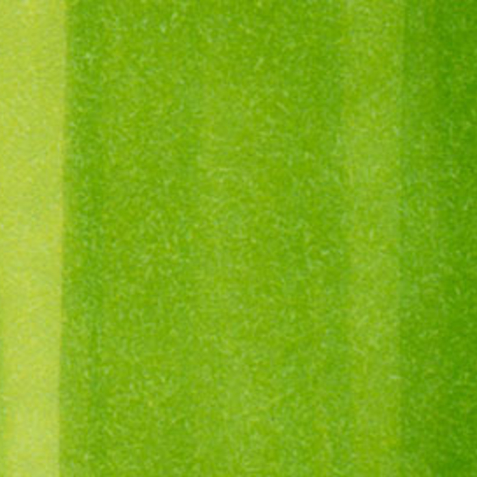 COPIC COPIC SKETCH FG FLUORESCENT GREEN