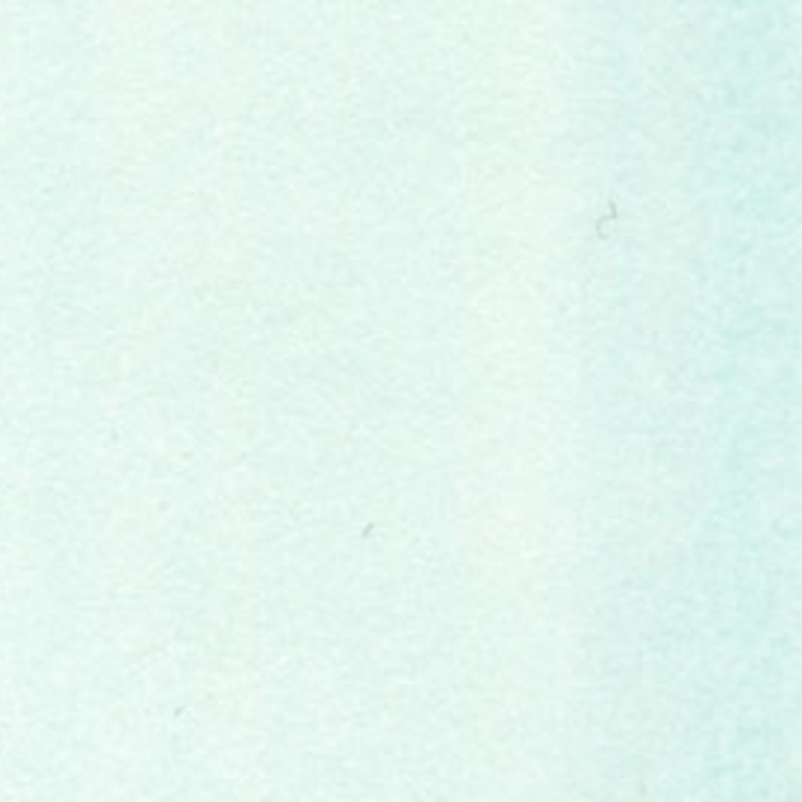 COPIC COPIC SKETCH BG0000 SNOW GREEN