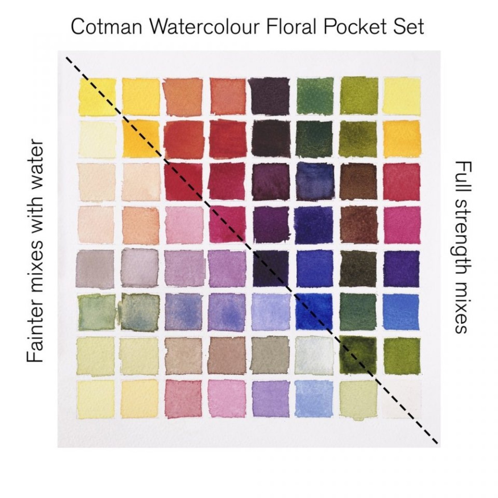 COTMAN WATERCOLOUR FLORAL POCKET SET