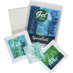 BULK - GEL PLATES 8X10 10/PK