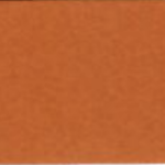 PET-A4442 AF PUMPKIN